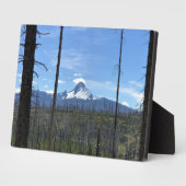 山ワシントンOR フォトプラーク (側面)