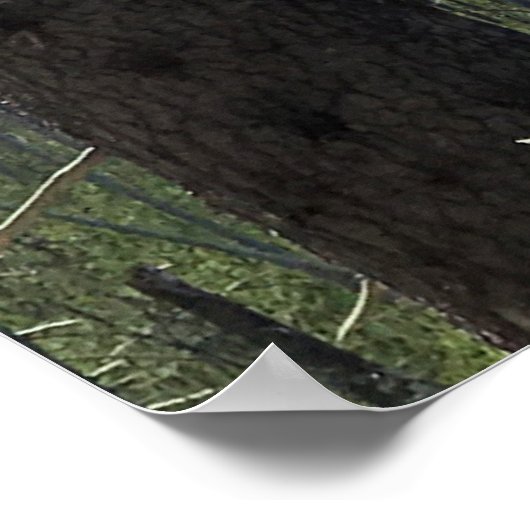 山ワシントンOR ポスター (角)