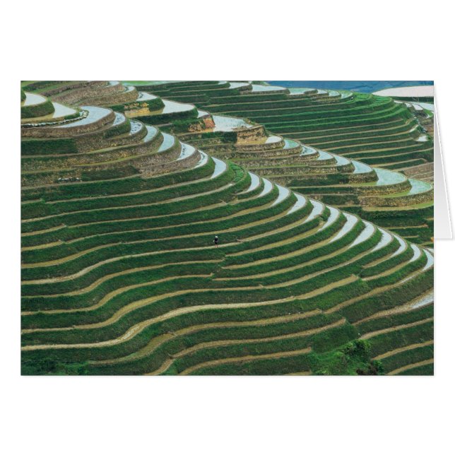 山中の棚田景観3 (正面横)