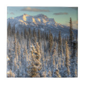 山仲間の日没 タイル (正面)