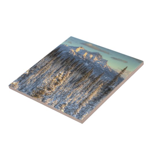 山仲間の日没 タイル (側面)