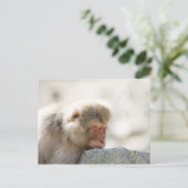 山内, 中部地方, 長野県, 日本 ポストカード (スタンド正面)