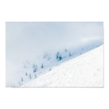 山凍っていの中の木々