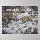 山凍ってい流 ポスター (正面)