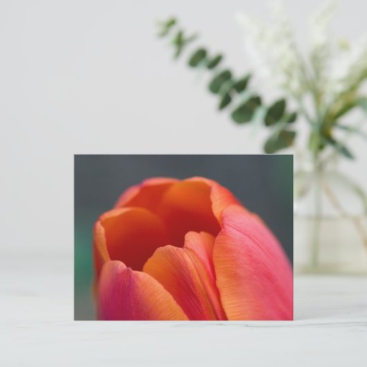 山唇 ポストカード (スタンド正面)