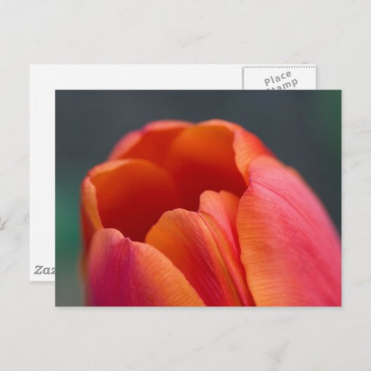 山唇 ポストカード (正面/裏面)