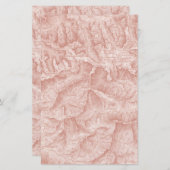 山地図マップ紙 (正面/裏面)