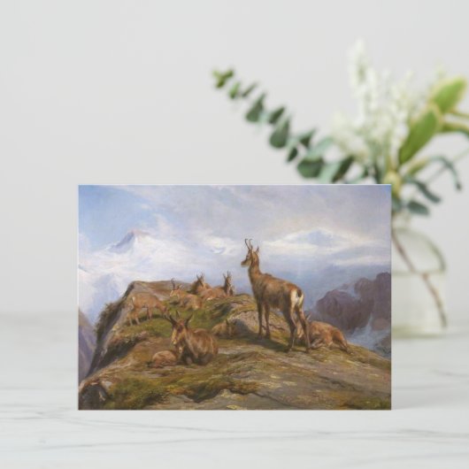 山威厳のあるの中のシャモア（ローザボネール） カード (スタンド正面)