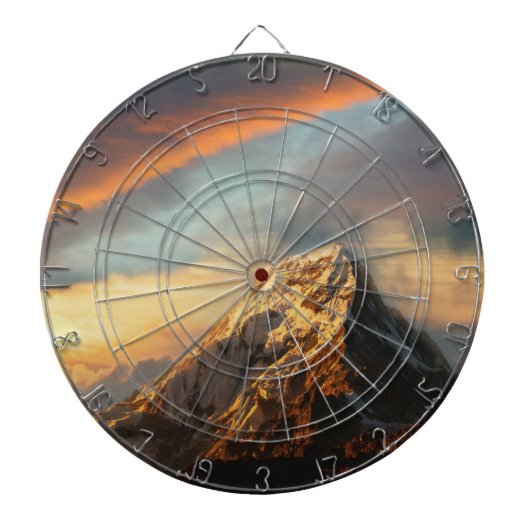 山威厳のある ダーツボード (正面)