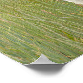 山実在に乗る小型の馬 ポスター (角)