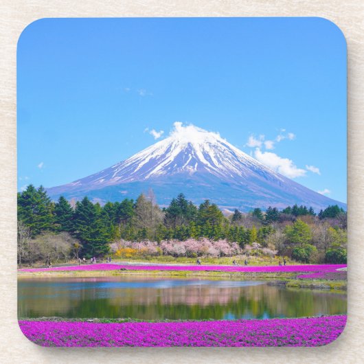 山富士の木と花 コースター (正面)
