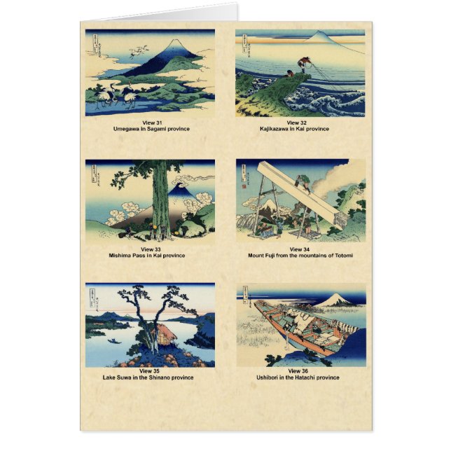 山富士ビューズ31～36 (正面)