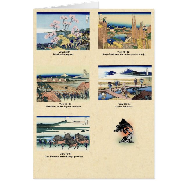 山富士ビュー36+01～36+05 (正面)