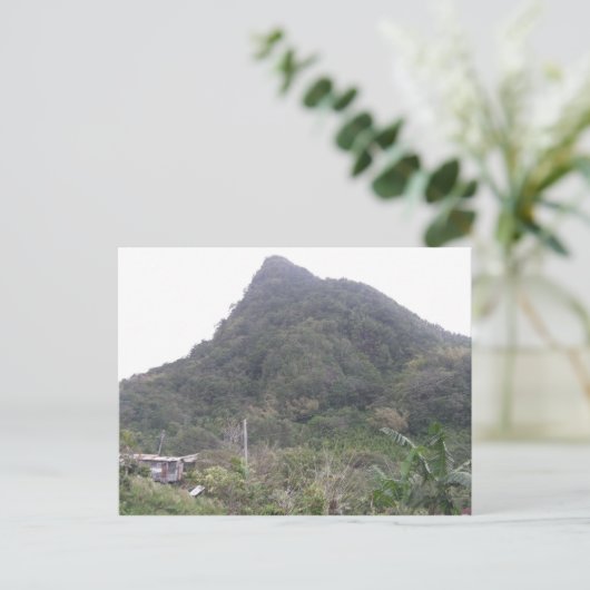 山峰 ポストカード (スタンド正面)