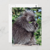 山嵐が鼻をつく ポストカード (正面/裏面)