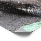 山嵐のポスター ポスター (角)