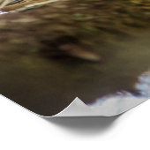 山嵐の木の切り株 ポスター (角)