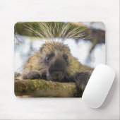 山嵐の木の切り株 マウスパッド (マウス)