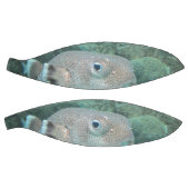 山嵐の魚が閉まる バスケットボール (パネル)