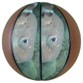 山嵐の魚が閉まる バスケットボール (縦)