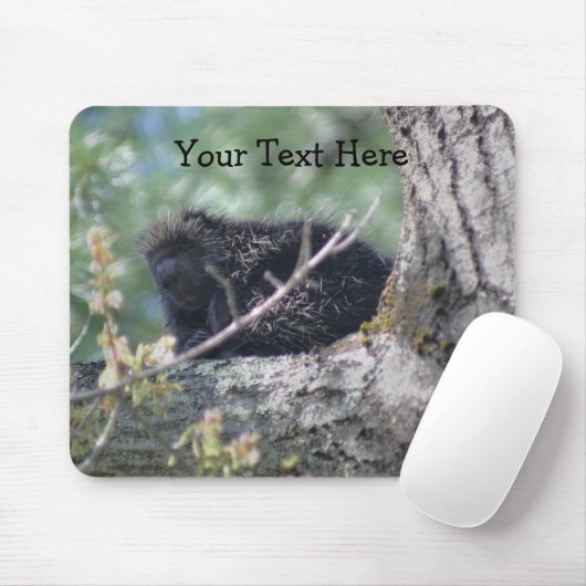 山嵐インツリーアニマル自然写真マウスパッド マウスパッド (マウス)