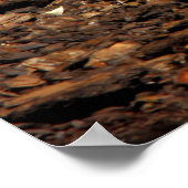 山嵐食べ物を与え病 ポスター (角)