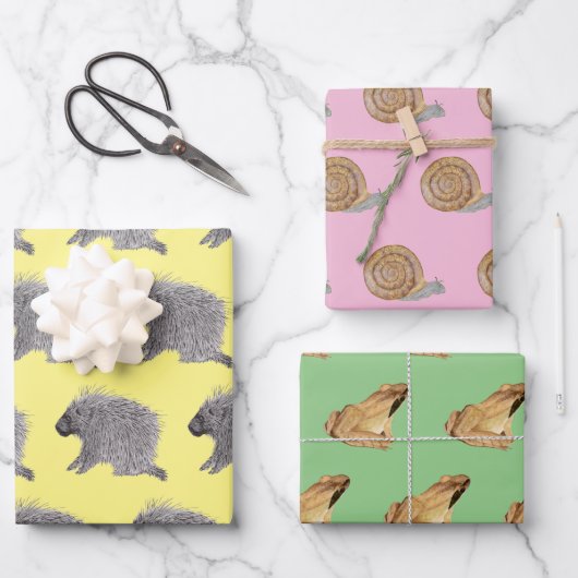 山嵐・カタツムリ・ウッドカエル ラッピングペーパーシート (正面)