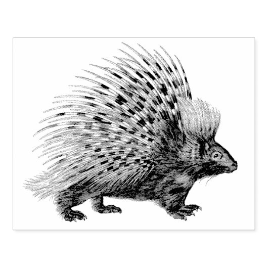 山嵐 | ゴム印 (インプリント)