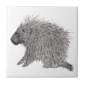 山嵐 タイル (正面)