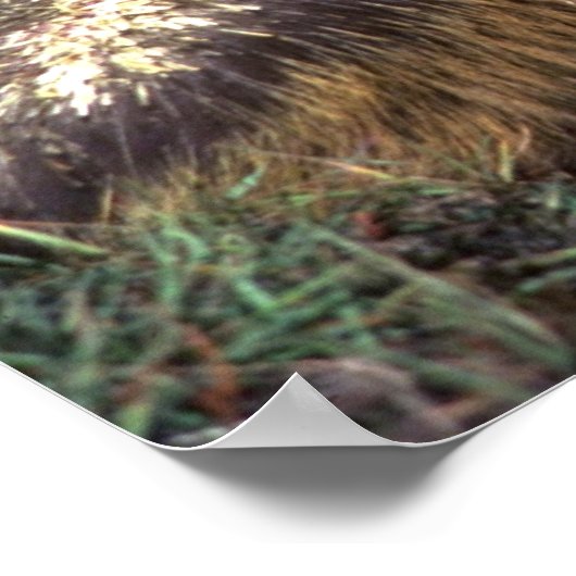 山嵐 ポスター (角)