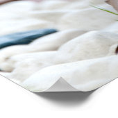 山嵐 ポスター (角)