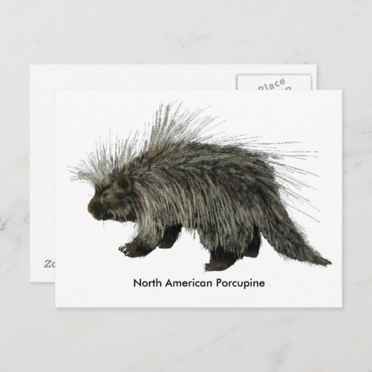 山嵐 ポストカード (正面/裏面)