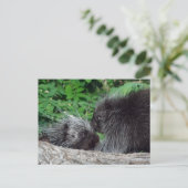 山嵐 – 母とベビー ポストカード (スタンド正面)