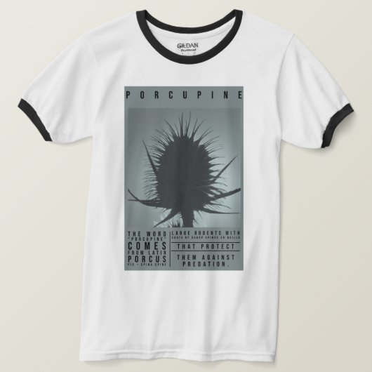 山嵐 Tシャツ (デザイン正面)