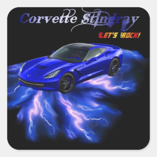 山形： Corvette Stingray 2013 スクエアシール