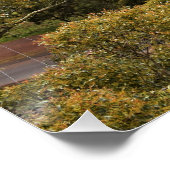 山文永光沢ポスターから見る ポスター (コーナー)