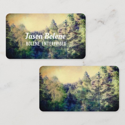 山松木自然景観写真 名刺 (正面/裏面)