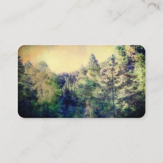 山松木自然景観写真 名刺 (裏面)