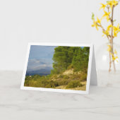 山松 カード (黄色い花)