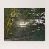 山林の木々を照らす太陽 ジグソーパズル (横)