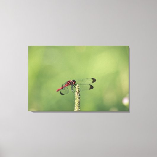 山梨県本州 キャンバスプリント (正面)