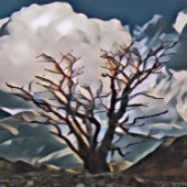 山樹 ガラスコースター