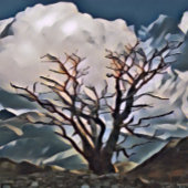 山樹 フォトブロック