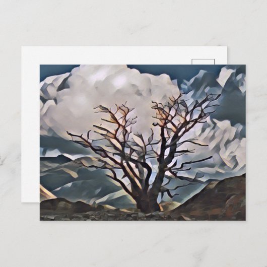 山樹 ポストカード (正面/裏面)