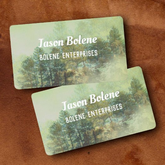 山水自然写真芸術家松林 名刺