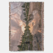 山池投げ毛布 スローブランケット (正面縦)