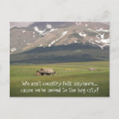 山渓谷の風景を動かす発表 案内ポストカード (正面)