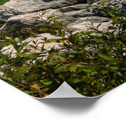 山湖にいる人 ポスター (角)