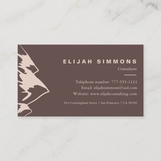 山澄ん国 名刺 (正面)