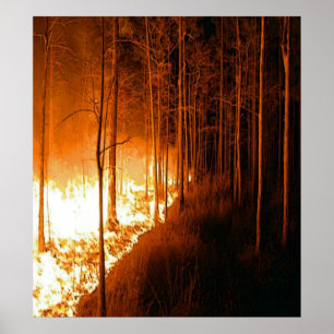 山火事の炎 ポスター